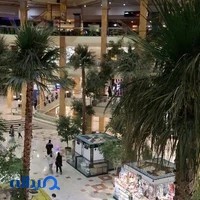 امیزینگ تویز