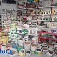محصولات کشاورزی رشد