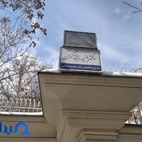 دکتر انسیه ریخته گران خمسه