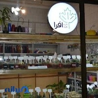 گل و گیاه افرا