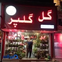 گلفروشی گلپر