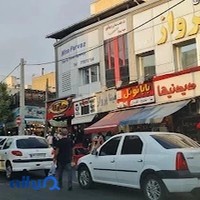 مینا پرواز