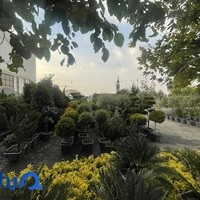 گل و گیاه ذاکری