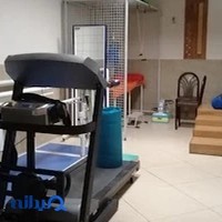 فیزیوتراپی آرین