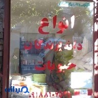 -انواع دانه پرندگان نوری