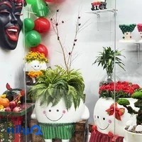 گل وگیاه آنمون