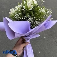 گلستان نیلوفر