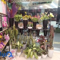 گل فروشی مه رز