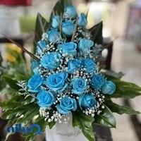 Aralia Flower