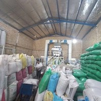سیدایران