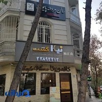 نیکا گشت