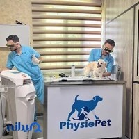 فیزیوتراپی حیوانات خانگی