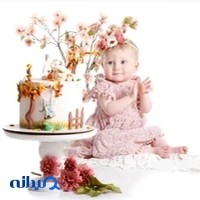 فیلیک استودیو