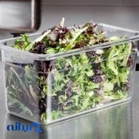 پارس لوتوس فیدار