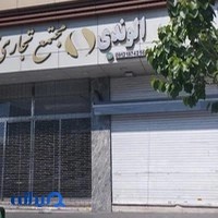 پتشاپ بینگو