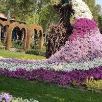 کلینیک دکتر آرشام
