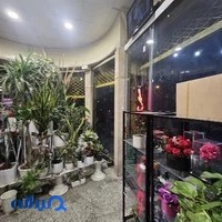 گلفروشی موگه