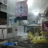 نان تافتون
