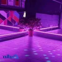 باشگاه نسل آینده