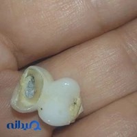 دندان‌پزشکی سپیدجامگان