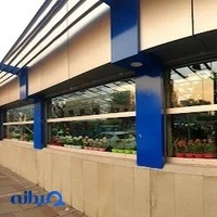گل های زعیم