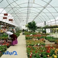 شرکت گلخانه ساز گلپا