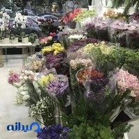 گلفروشی موگه