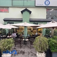 ویونا