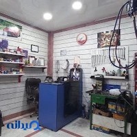 مستر ریمپ