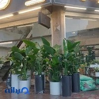 گلفروشی الین ، گل فروشی الین ، گل الین