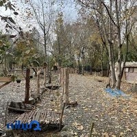 آموزشگاه موسیقی نواک