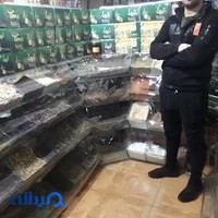 عطاری گل سرخ