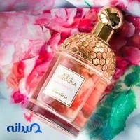 فروشگاه عطر ادکلن و کادو بوکادو