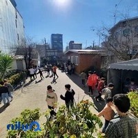 دبستان پویندگان