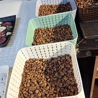 فروشگاه قهوه زاوش