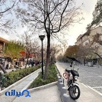 شرکت بازرگانی میامی