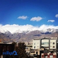 گروه همگردی