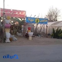 گلخانه کاکتوس سورنا اصفهان