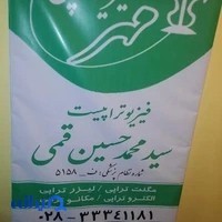 فیزیوتراپی دنیز
