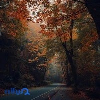 لوازم یدکی زاینده رود