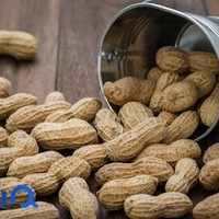 آجیل و خشکبار حسین پور