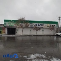 کالای چوب پریزاد