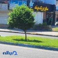 سایزبزرگ برند