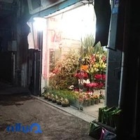 گل فروشی زیبا