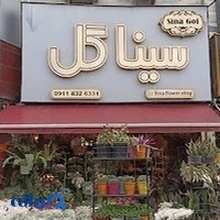 سینا گل