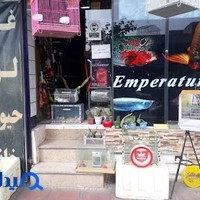 آکواریوم امپراطور تهرانسر