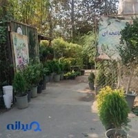 طاها گل