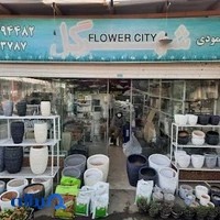 Flowers city