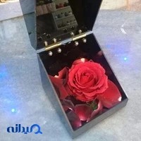 فروشگاه آنلاين گل و گياه گل گلدون