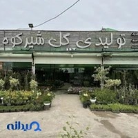 گل شیرکوه